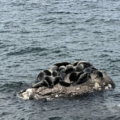 «Всё включено» на Байкале: экскурсии, водная прогулка, погружение в традиции и вкуснейшая кухня