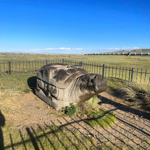 От пустыни до оазисов: большое путешествие по Монголии и Улан-Удэ