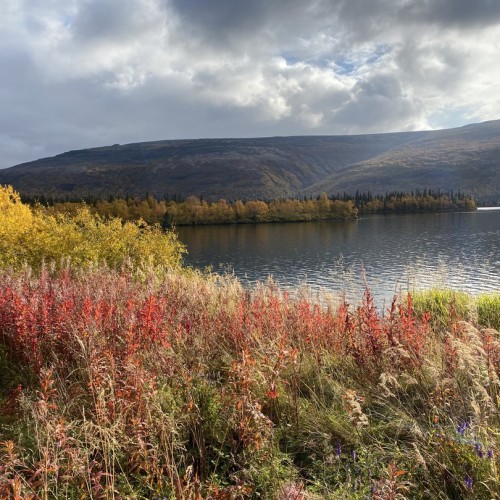 Приключения в Арктике в мини-группе: Териберка, Ловозеро, Хибины и Кировск с активностями