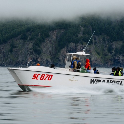 Навстречу гренландским китам: экспедиция к Шантарским островам с лекциями биологов