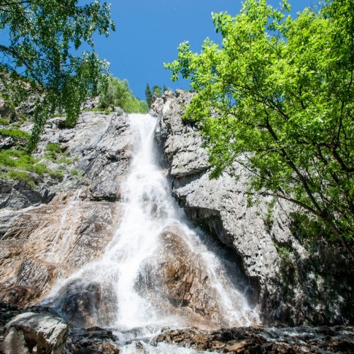 Алтайский максимум: все главные достопримечательности за неделю с комфортом (мини-группа)