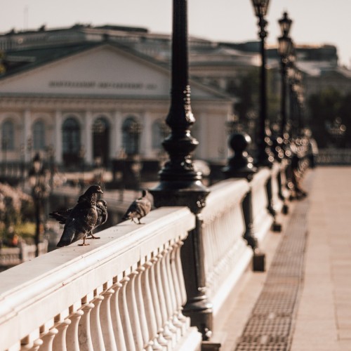 Треугольник гармонии Москвы