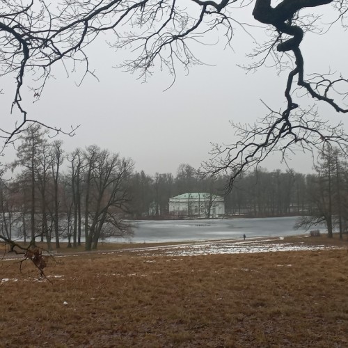 Из Петербурга — в Екатерининский парк