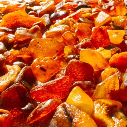 Калининград и города на побережье Балтики (индивидуально)