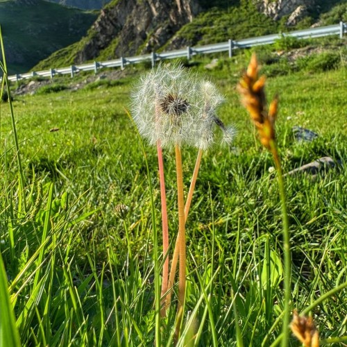 Главное на Чуйском тракте с отдыхом на базе и релаксом в баньке. Всё включено