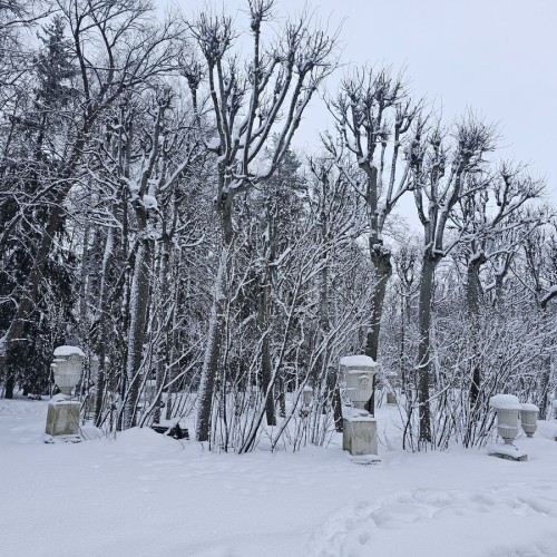 Групповая экскурсия «Всё мне видится Павловск холмистый» (билеты включены)