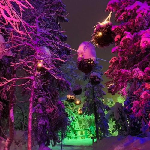 Экспресс-путешествие в Арктику: Мурманск, Териберка и Кировск, северное сияние и милые олени