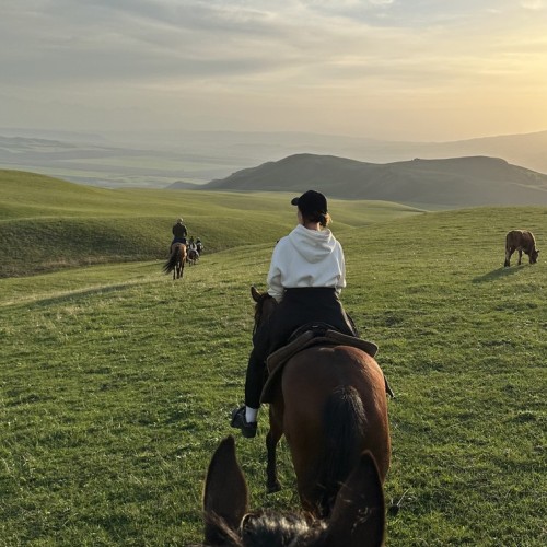 Галопом по Карачаево-Черкесии: конный выезд для опытных всадников