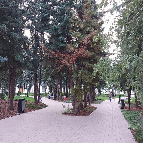 Обзорная экскурсия по Нижнему Новгороду на автобусе