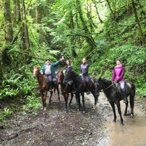 Приключения на лошадях в Сочи для новичков и опытных: по ущельям, долинам и лесам