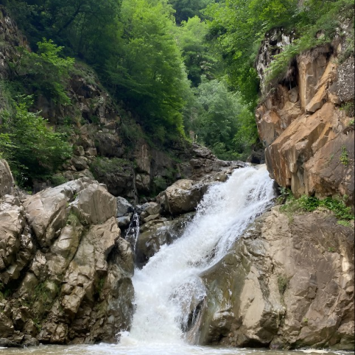 Всё лучшее на Кавказе — для вас: топ-локации, кухня, отдых на источниках, конная прогулка, рыбалка