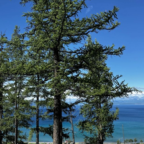 К местам силы из Иркутска: перезагрузка у высокогорного монгольского озера Хубсугул