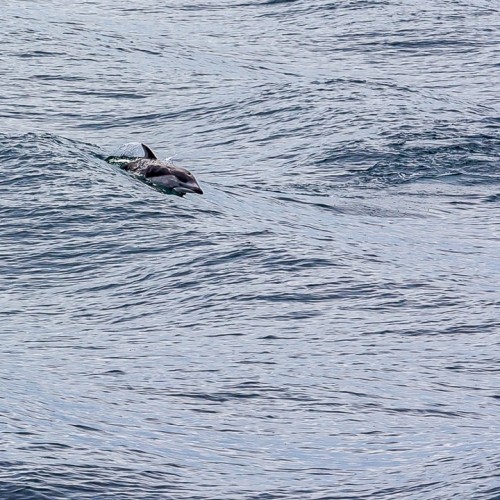 Джип-тур на Итуруп и Шикотан в мини-группе: неизведанные места, релакс в термах и гастрономия