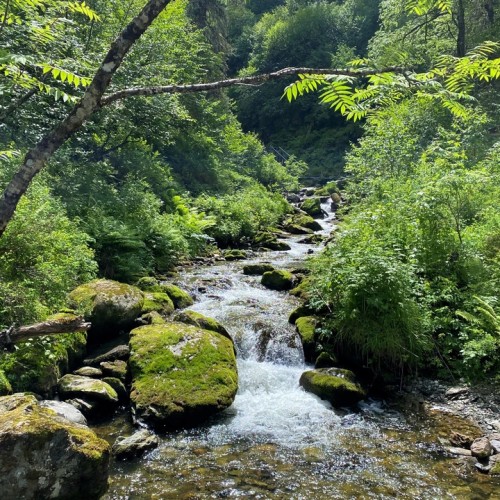 Топовые места Алтая в мини-группе: Гейзерное озеро, Чуйский тракт, долина Горных духов и Патмос