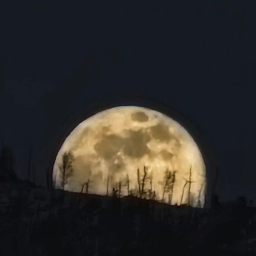 Конный тур для новичков по осеннему Алтаю с проживанием на базе. Всё включено