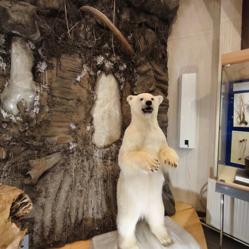 В Якутию на традиционный праздник Ысыах с посещением Ленских столбов и водными прогулками