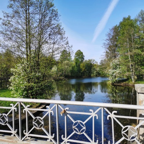 Северные острова Петербурга на авто