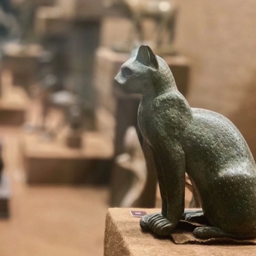 Звери в Эрмитаже: авторская экскурсия