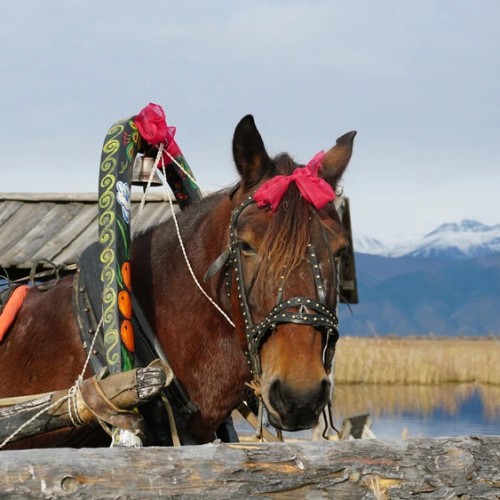 Индивидуальное путешествие по восточному берегу Байкала и Баргузинской долине