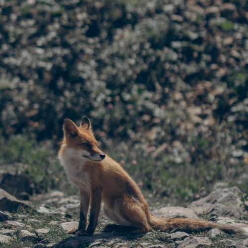 Океан впечатлений на Камчатке с фотографом: треккинги, спа, обед с видом на горы и ночь в глэмпинге