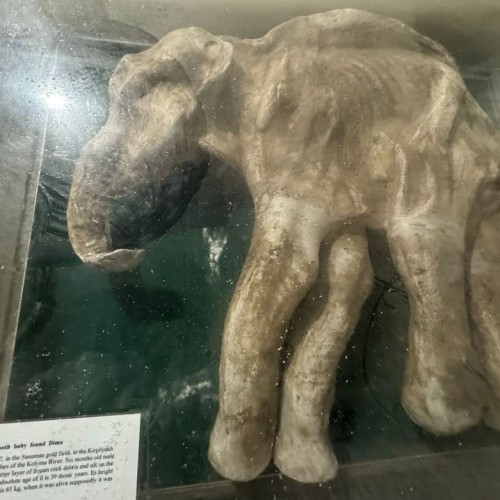 Знакомство с Якутией: круиз по Лене, Ленские столбы, шаманские обряды и «Царство вечной мерзлоты»