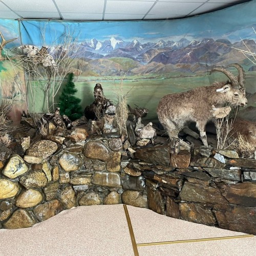 Большое путешествие: Алтай сакральный, этнический и исторический