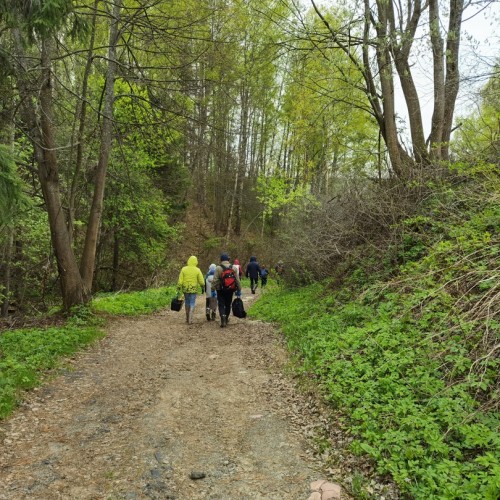 За окаменелостями музейного уровня в Ярославскую область с палеонтологом