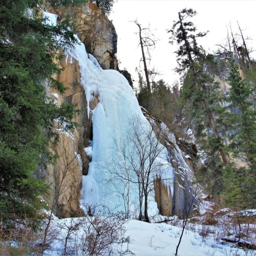 Камышлинский водопад и зубровый питомник