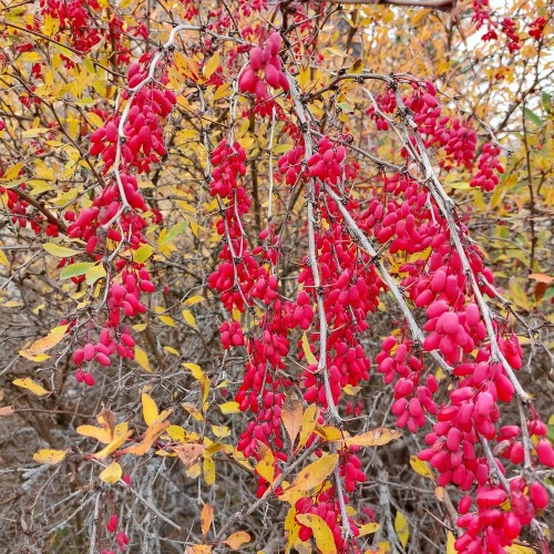 Треккинг в Чегемском ущелье без рюкзаков с проживанием в гостевом доме (всё включено)
