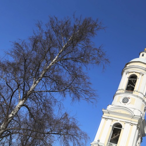 Петроградская сторона Петербурга: между ангелом и бесом