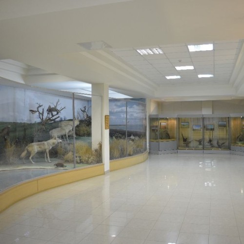 Насыщенный тур по Калмыкии: буддийские святыни и знакомство с кочевым бытом