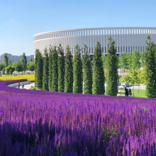 Мини-отпуск в Краснодаре с поездками в горы, к морю и на винодельню