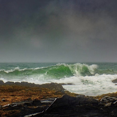 С фотографом на полуострова Рыбачий и Средний (в палатках): мастер-классы по съёмке океана и тундры