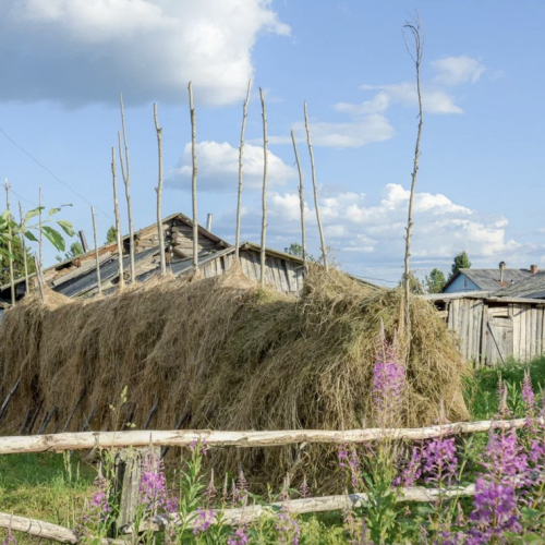 В гости к поморам под белоснежными парусами: приключения вдали от цивилизации
