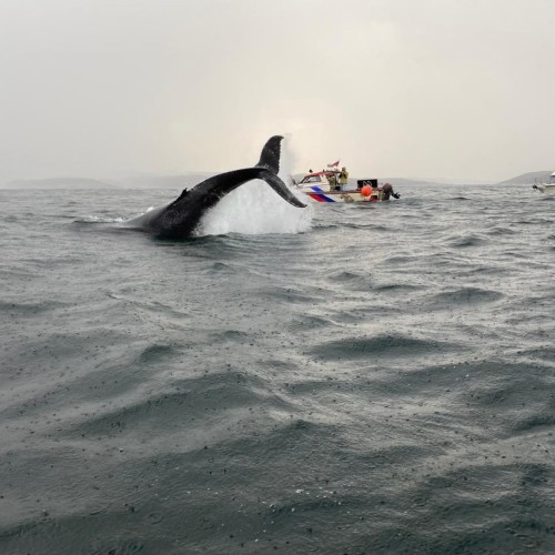 Разнообразие Севера: Териберка, Мурманск, Кировск и погружение в культуру