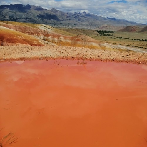 Автовыезд только для вашей компании: от Горно-Алтайска до границы с Монголией