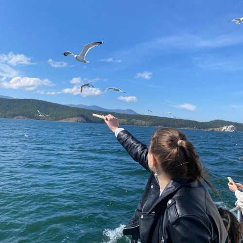 Тур-знакомство с Байкалом: Ольхон, Огой и Листвянка