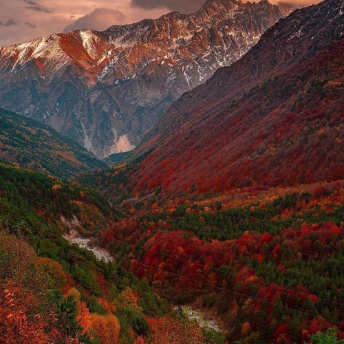 Цейское ущелье и прогулки в горах на джипах