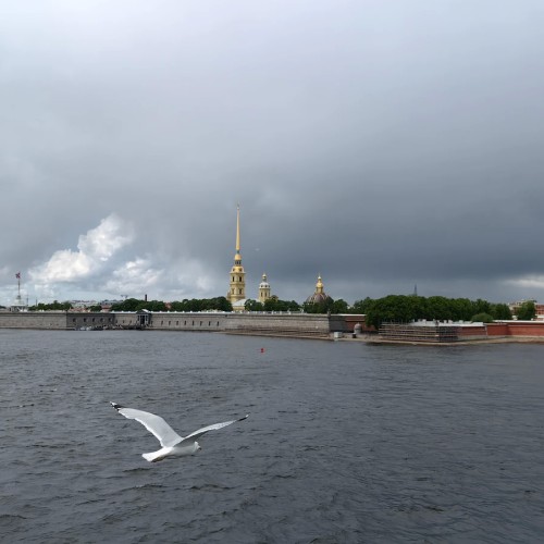 Зайцы, крепость, Пётр-царь!