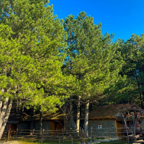 Впечатляющая Чечня в мини-группе: горы, озёра, современные мечети и средневековые башни