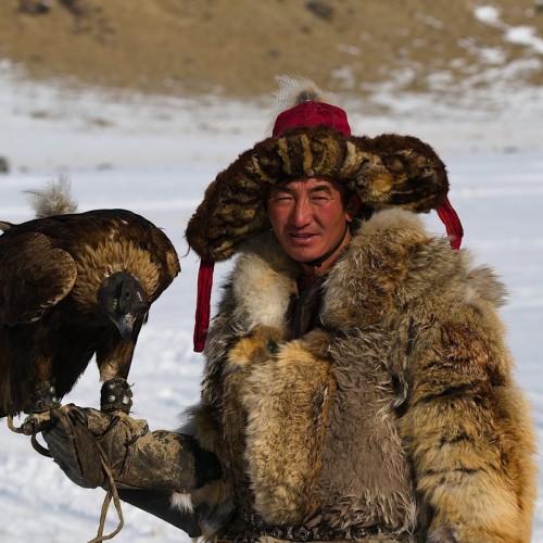 Из Алтая, по Чуйскому тракту — в Монголию на фестиваль беркутчи с проживанием в юрте