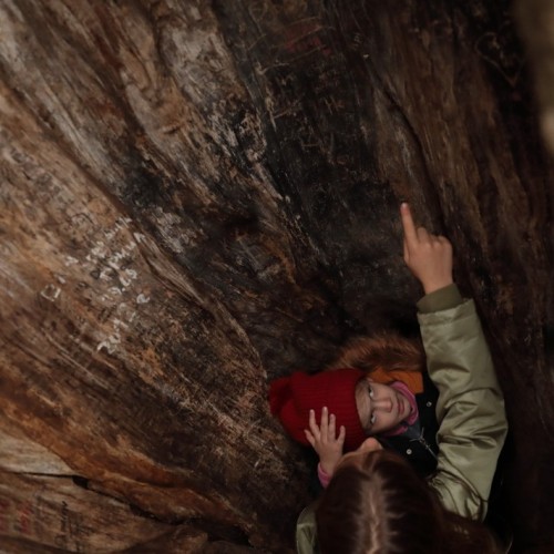 По тропам Торжокского района: пеший поход с рюкзаками