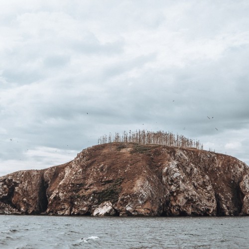 Восточное побережье Байкала: бурятские вкусности, Баргузинская долина и Чивыркуйский залив