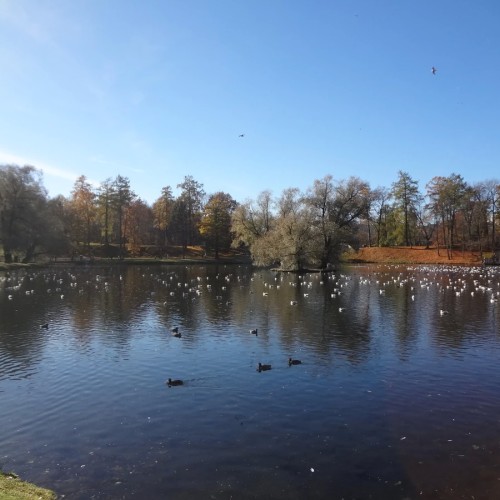 Все парки и замки Гатчины за один день