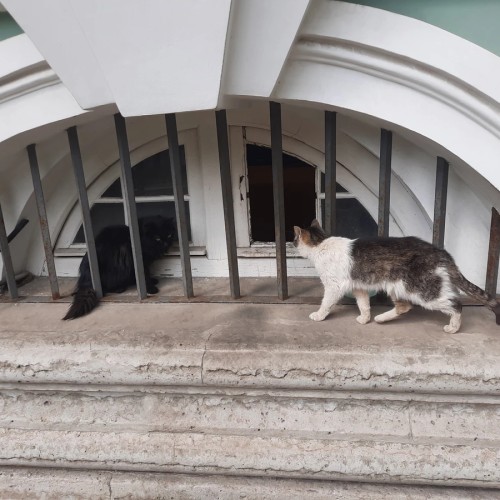 Тайны шедевров Эрмитажа