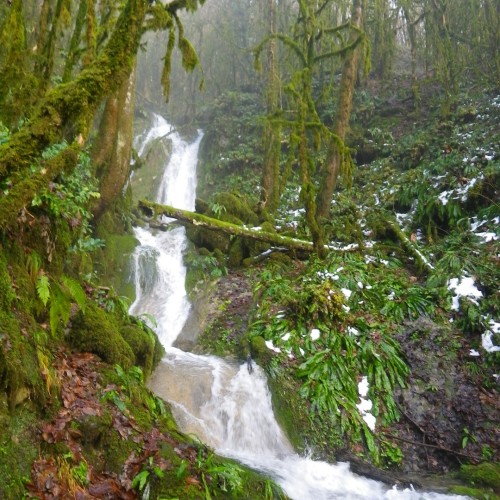 Большой тур по Сочи: природа, архитектура, история