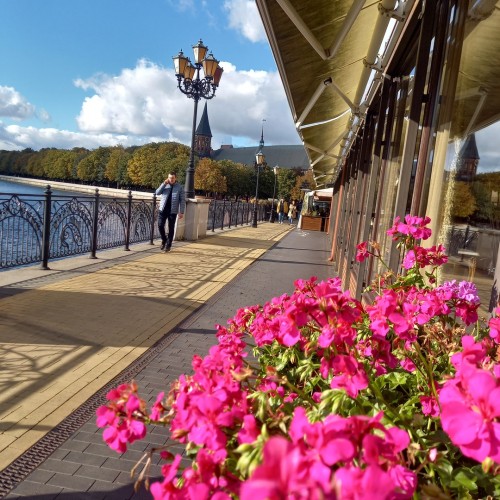 Тур-знакомство с Калининградом и окрестностями: Светлогорск, Зеленоградск, Янтарный и Балтийск