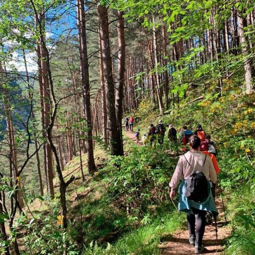 Семейный треккинг в Дигории с размещением в гостинице