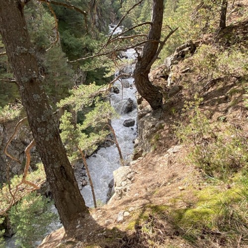 Персональная поездка по Дигории: природа и отдых в термальных источниках