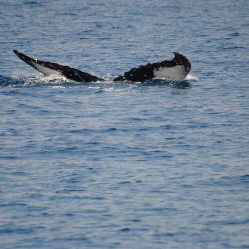 Териберка без Левиафана: пронзительная самобытность и лаконичные пейзажи